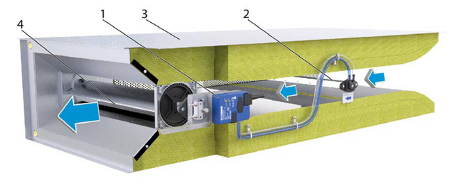 Schematic-illustration-TA-Silenzio