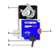 XF0_gc_01ai.png