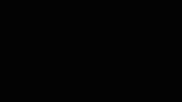 X2 Gif_PL