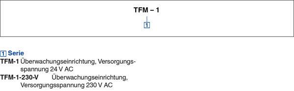 large_tab4_Serie TFM-1